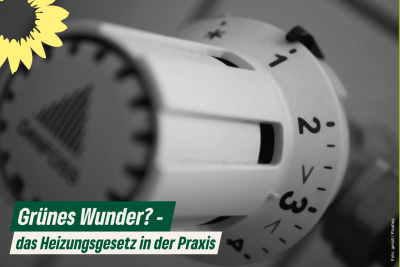 gruenes-wunder-das-heizungsges